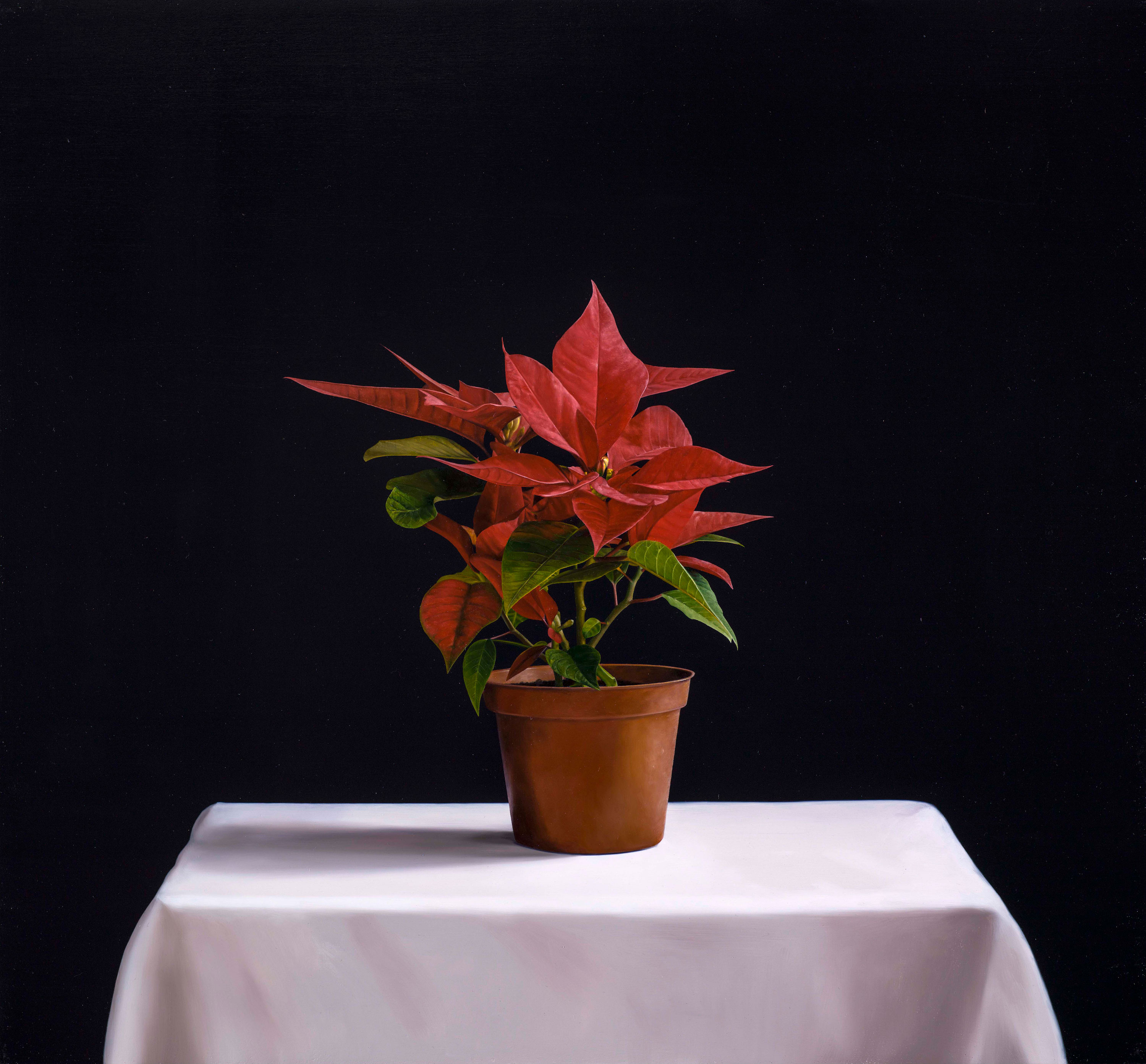 Expressed through Objects|借物抒情作品-A Flower Is Not A Flower|花非花|,Oil on linen mounted on
								panel|油彩木板裱麻,60 x 65 cm|2013